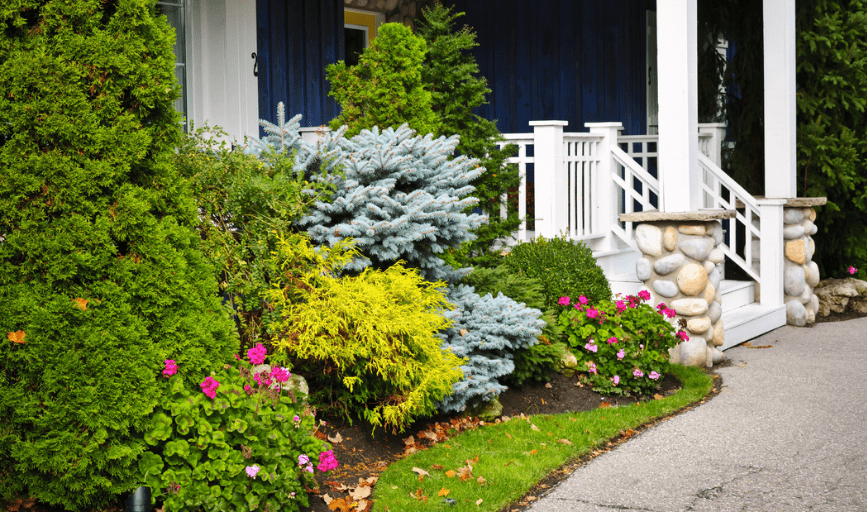 Landscaping
